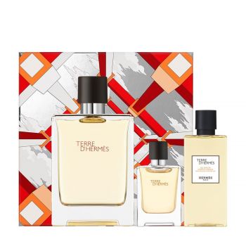 Terre d'hermès set 193 ml