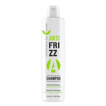 Sampon Antifrizz pentru Par Rebel Compagnia del Colore, 250 ml