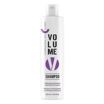 Sampon pentru Volum Compagnia del Colore, 250 ml