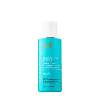 Moisture repair shampoo 70 ml