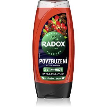 Radox Men Invigorating Gel de duș pentru bărbați 3 in 1