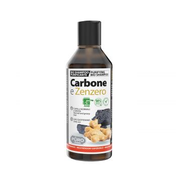 Carbone e zenzero shampoo bio  250 ml