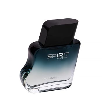 Spirit absolute 100 ml