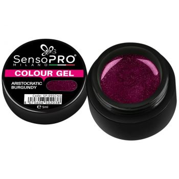 Gel UV Colorat Aristocratic Burgundy 5ml, SensoPRO Milano