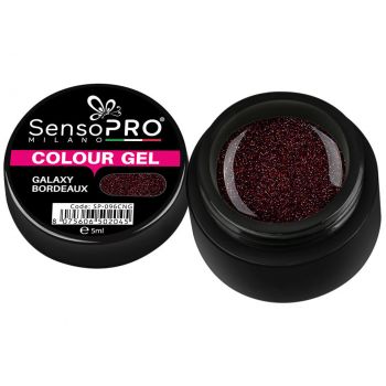 Gel UV Colorat Galaxy Bordeaux 5ml, SensoPRO Milano