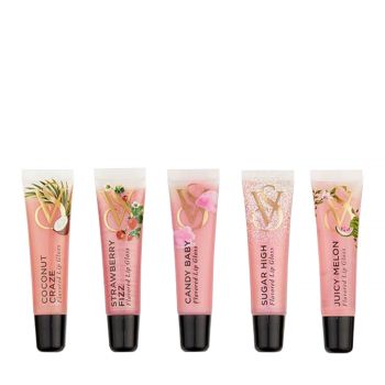 Assorted flavor gloss favorites coffret set 65 ml