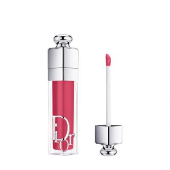 Addict lip maximizer 029 6 ml