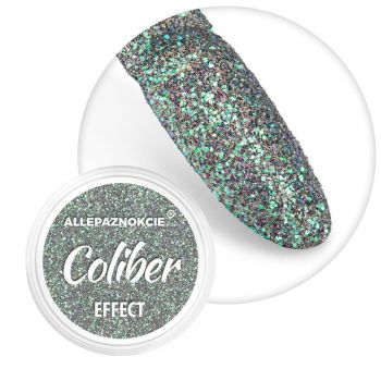 Sclipici fin cu efect holographic- Coliber Effect 09