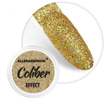 Sclipici fin cu efect holographic- Coliber Effect 10