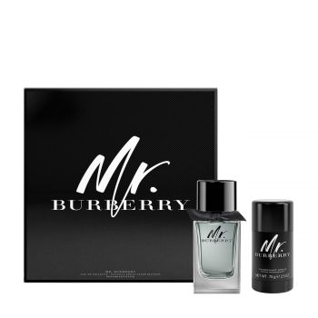 Mr.burberry 175 ml