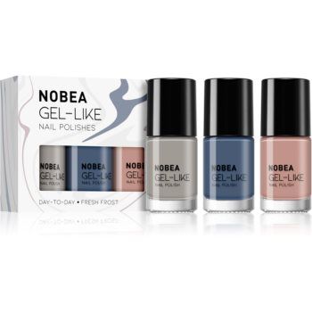 NOBEA Day-to-Day Fresh Frost Set set de lacuri de unghii Fresh Frost