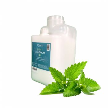 Masca pentru par cu MENTA - PRO.CO - 5L