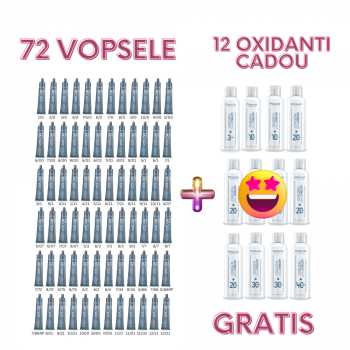 Set 72 vopsele profesionale PRO.COLOR + 12 oxidanti crema GRATIS