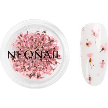 NEONAIL Dried Flowers flori uscate pentru unghii