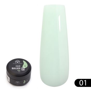 Gel Pentru Modelarea Unghiilor - 15 g, 01 la reducere