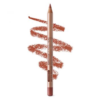 Creion buze Boys`n Berries Nudelicious Lip Pencil Gingerbread