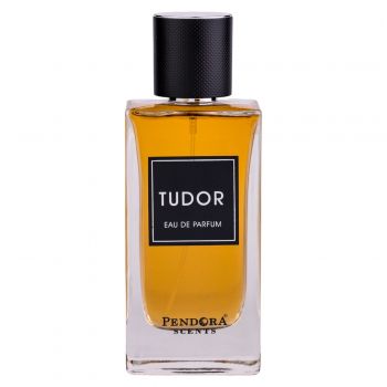 Tudor by Pendora Scents - parfum arabesc barbati - EDP 100 ml