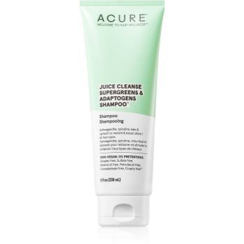 ACURE Juice Cleanse Supergreens & Adaptogens sampon energizant pentru par si scalp deteriorat