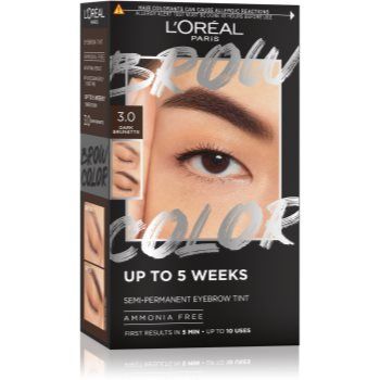 L’Oréal Paris Brow Color culoare pentru sprancene