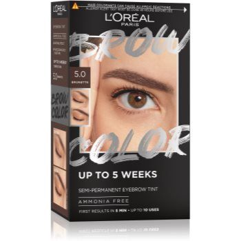 L’Oréal Paris Brow Color culoare pentru sprancene