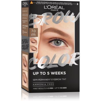 L’Oréal Paris Brow Color culoare pentru sprancene