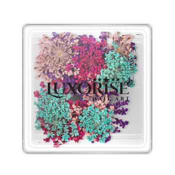 Flori Uscate Unghii LUXORISE - Flowers Spice