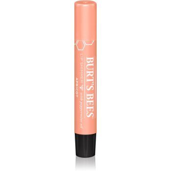 Burt’s Bees Lip Shimmer lip gloss