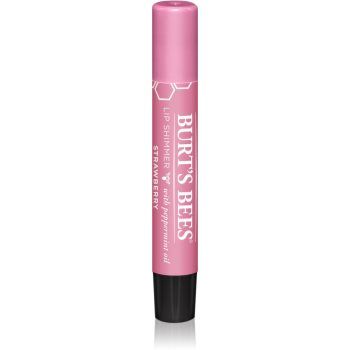 Burt’s Bees Lip Shimmer lip gloss