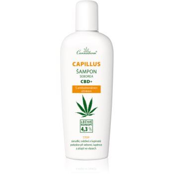 Cannaderm Seborea CBD+ șampon anti matreata