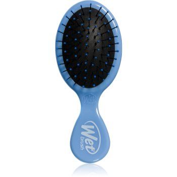 Wet Brush Mini Detangler Sky perie de par pentru par usor de pieptanat