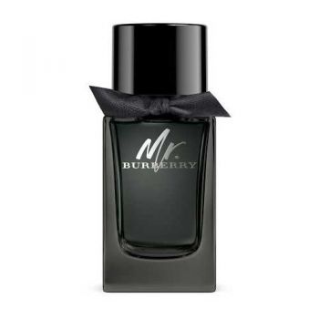 Burberry Mr. Burberry Eau de Parfum (Concentratie: Apa de Parfum, Gramaj: 100 ml Tester)