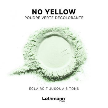 Pudra decoloranta verde anti yellow 6+, Lothmann Paris 500 g