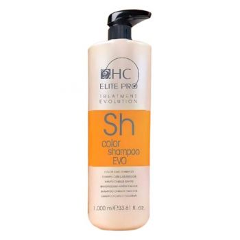 Sampon Organic pentru Ingrijirea Parului Vopsit - HairConcept Color Shampoo EVO, 1000 ml