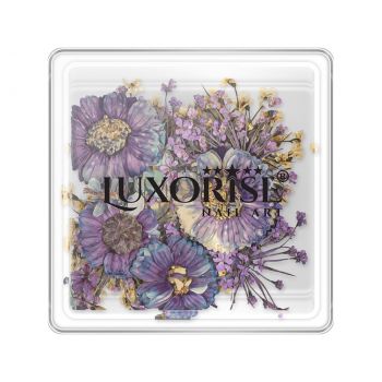 Flori Uscate Unghii LUXORISE - Heaven Garden