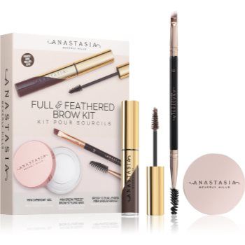 Anastasia Beverly Hills Full & Feathered Brow Kit Mini kit pentru sprâncene Medium Brown culoare