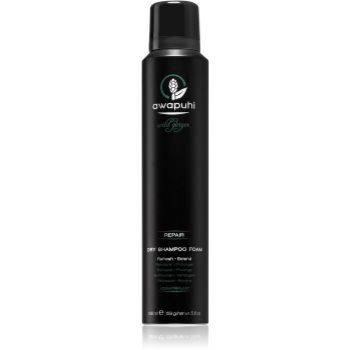 Paul Mitchell Awapuhi Wild Ginger șampon uscat cremos