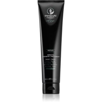 Paul Mitchell Awapuhi Wild Ginger masca pentru regenerare pentru păr uscat și deteriorat