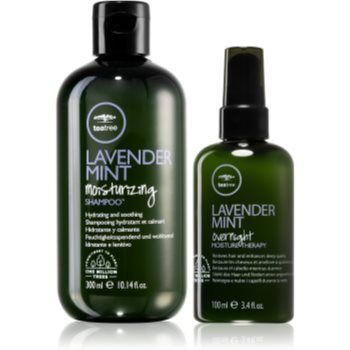 Paul Mitchell Lavender Mint Save on Duo set cadou pentru par uscat si indisciplinat