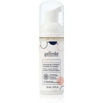 Gallinée SKIN CARE Foaming Facial Cleanser demachiant spumant delicat faciale