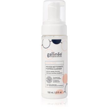 Gallinée SKIN CARE Foaming Facial Cleanser demachiant spumant delicat faciale