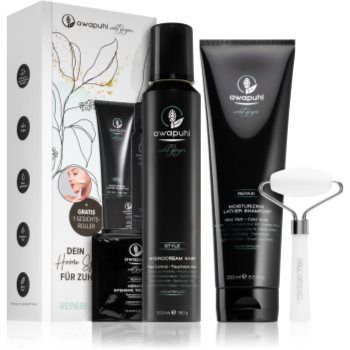 Paul Mitchell Awapuhi Wild Ginger set(pentru păr uscat și deteriorat)