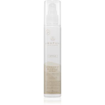 Paul Mitchell Awapuhi Wild Ginger HydroMist Blowout Spray spray pentru fixare pentru un volum perfect