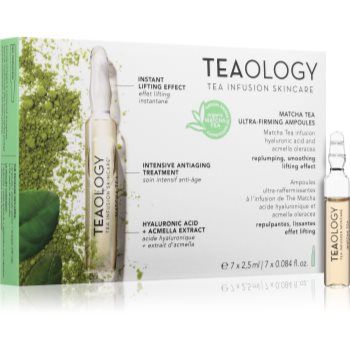 Teaology Matcha Tea Ultra-Firming Ampoules fiolă pentru hidratare si fermitate