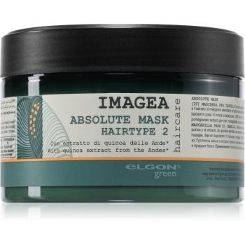 Elgon Green Imagea Absolute Mask masca pentru par deteriorat