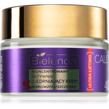 Bielenda Calcium + Q10 Concentrated actively firming anti-wrinkle cream for day 40+ crema de fata cu efect de fermitate antirid