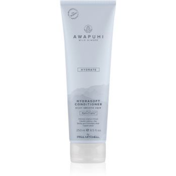 Paul Mitchell Awapuhi Wild Ginger HydraSoft Condicioner balsam hidratant