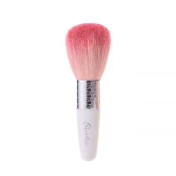 Les meteorites powder brush 15 gr