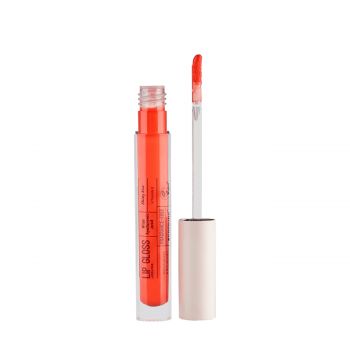 Lip gloss n° 06 3.50 ml