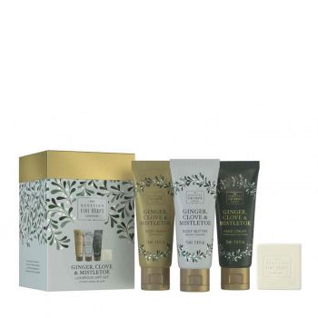 Ginger, clove & mistletoe gift cube set 265 ml