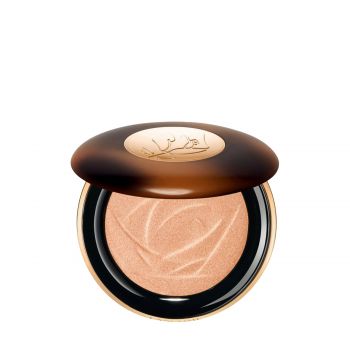 Teint idole ultra wear highlighter n° 02 10 gr